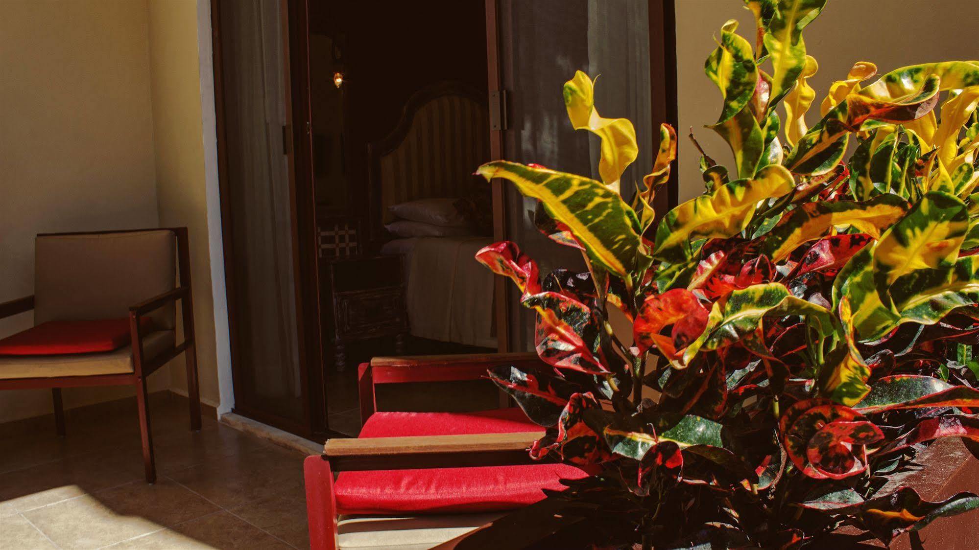 Casa Italia Luxury Guest House - Adults Only Mérida Exteriér fotografie