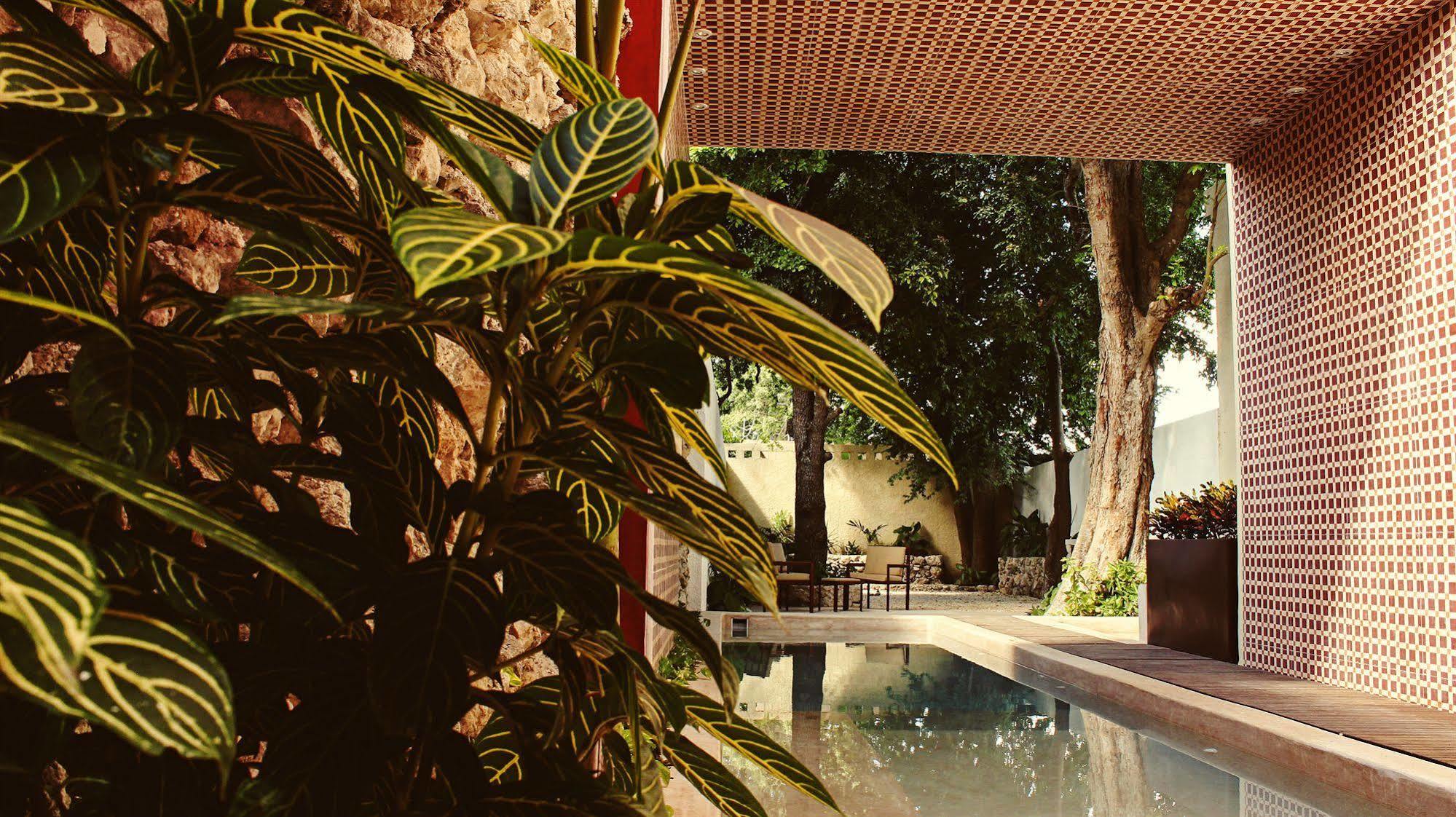 Casa Italia Luxury Guest House - Adults Only Mérida Exteriér fotografie
